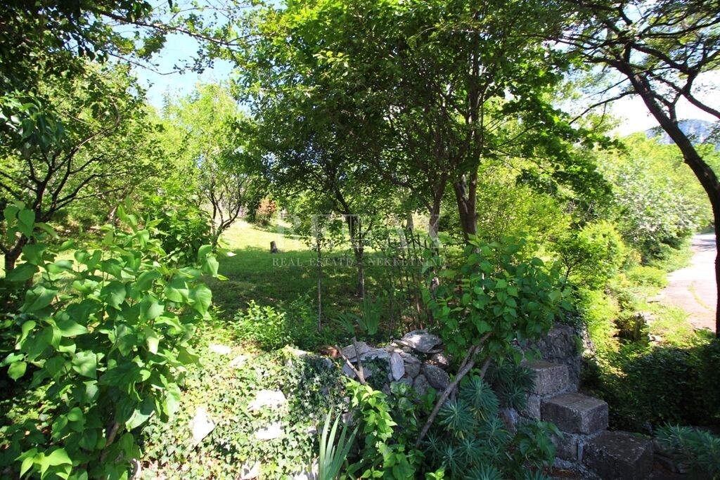 Image 5179862 - 20
