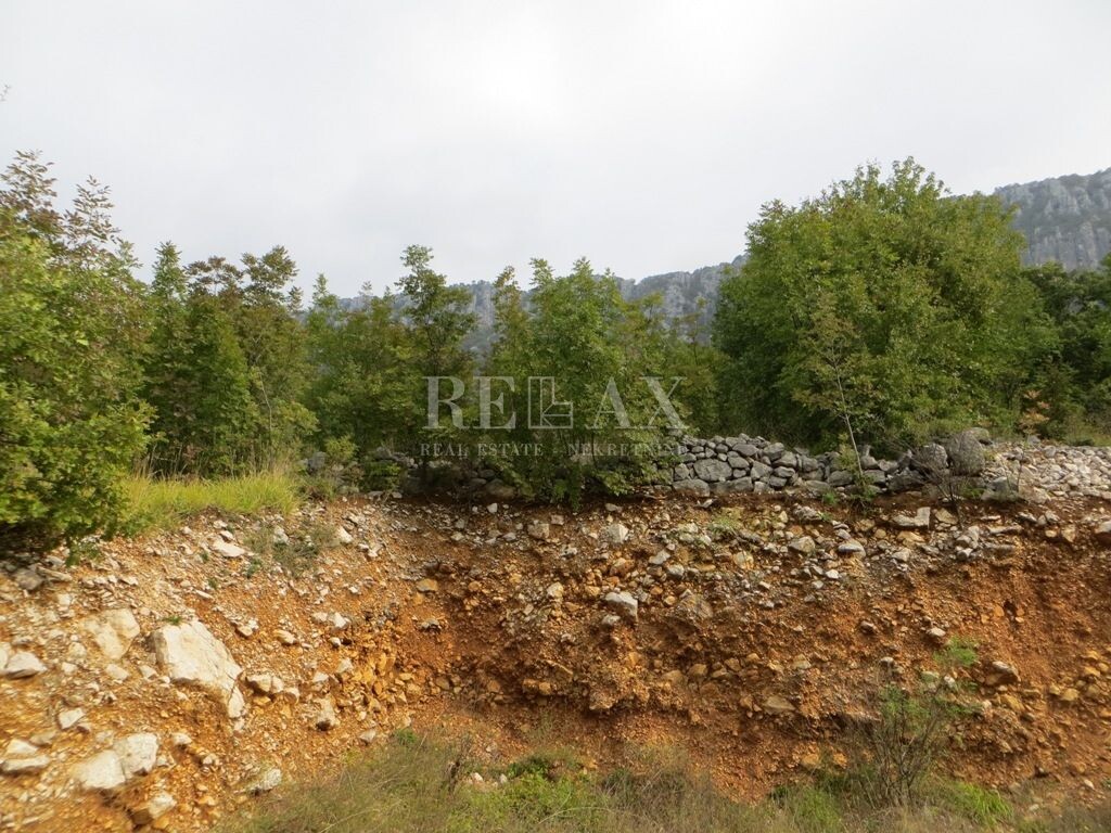Image 5179867 - 1