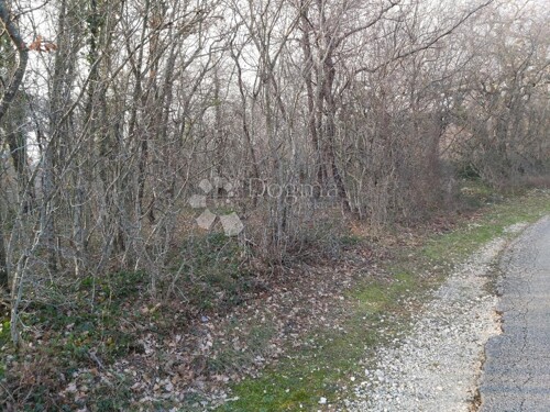 Thumbnail 5181186 - 3