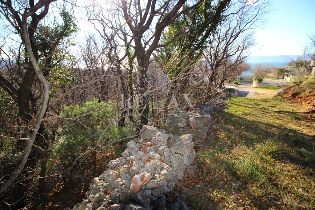 Image 5181259 - 7