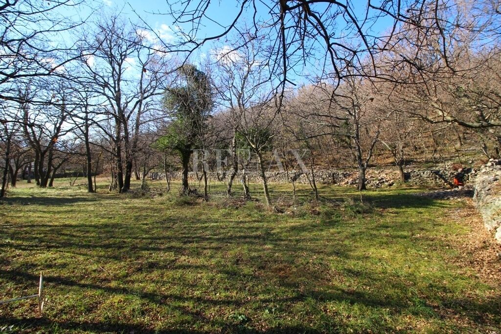 Image 5181259 - 1