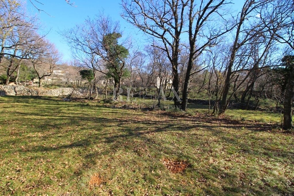 Image 5181259 - 4