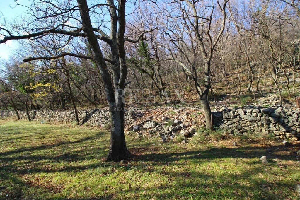 Image 5181259 - 9