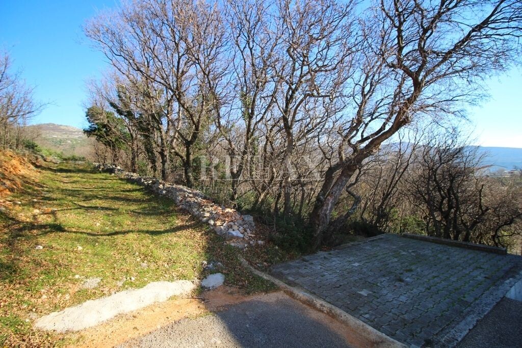 Image 5181259 - 3