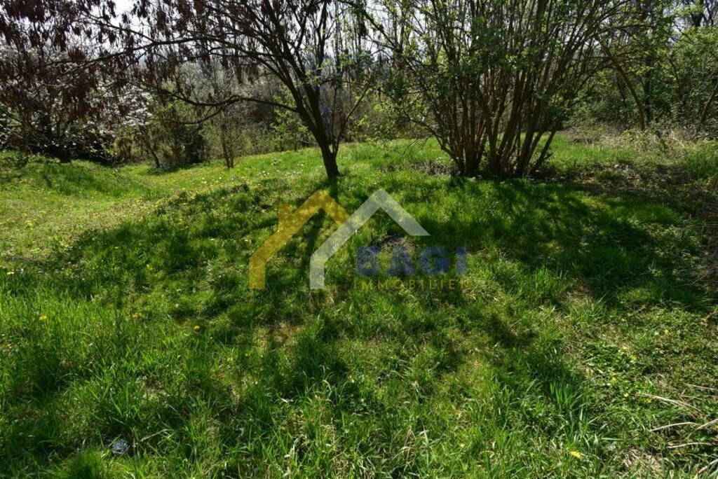 Image 5181952 - 5