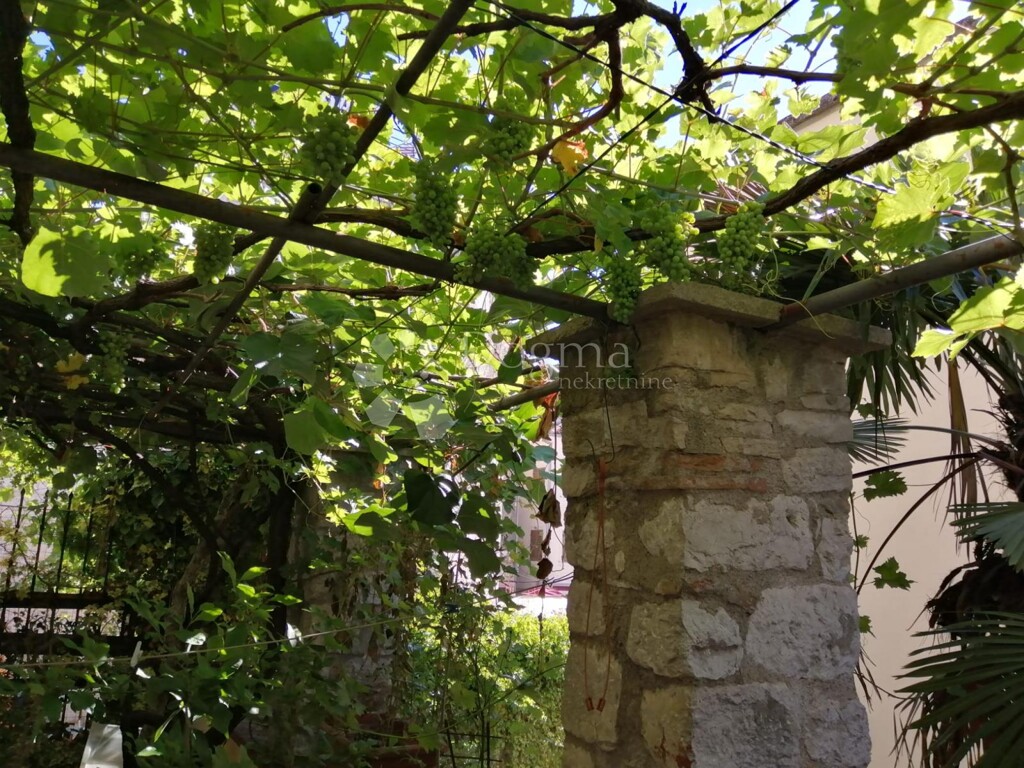 Image 5183689 - 2