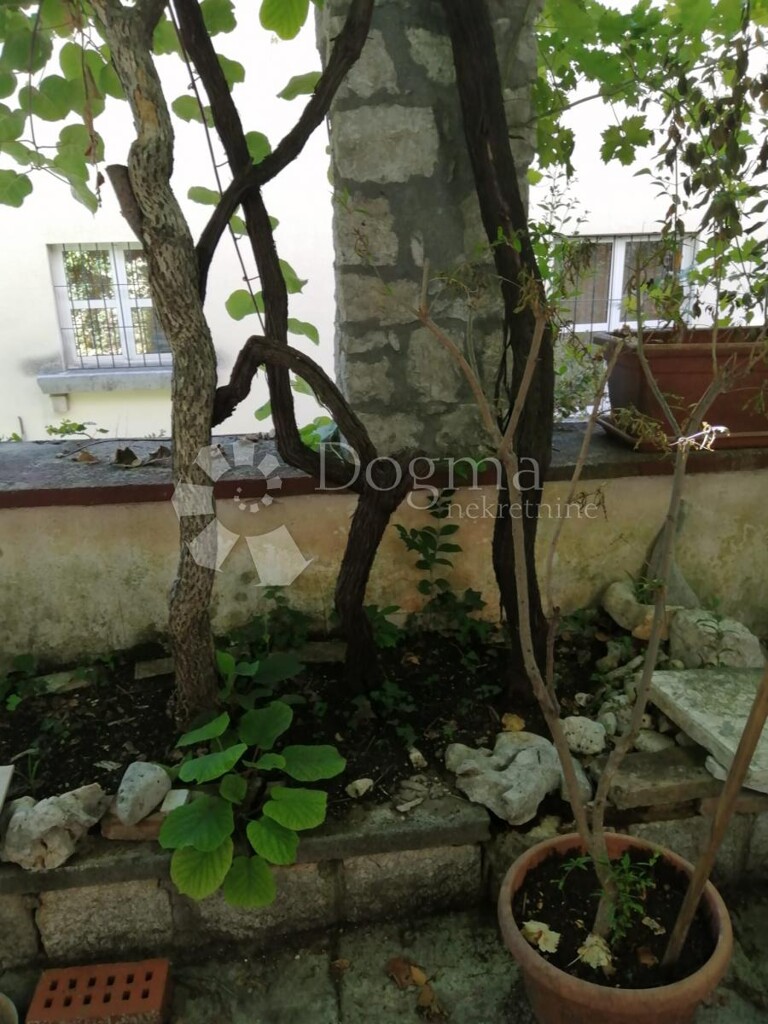 Image 5183689 - 1