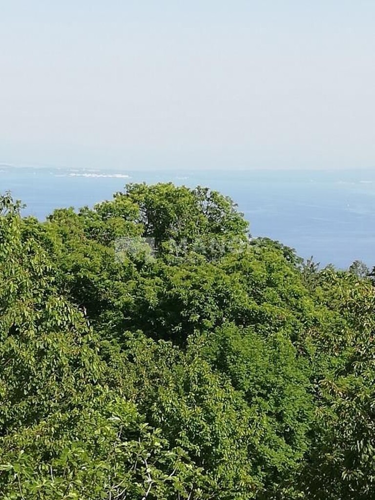 Image 5184401 - 4