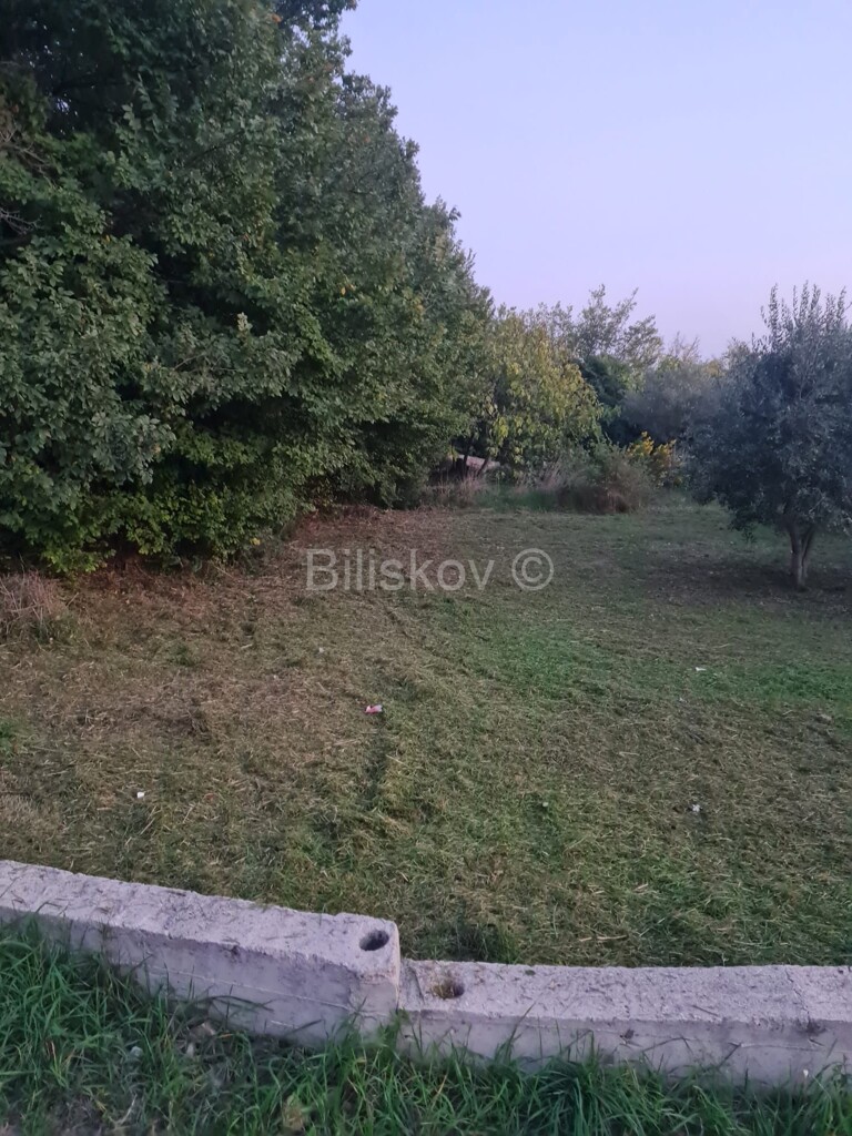 Image 5184409 - 1