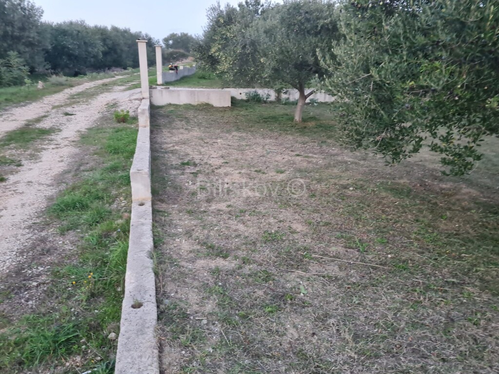 Image 5184409 - 3