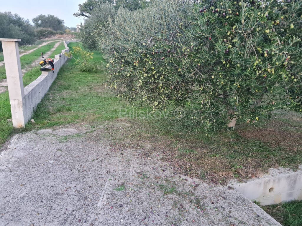 Image 5184409 - 2