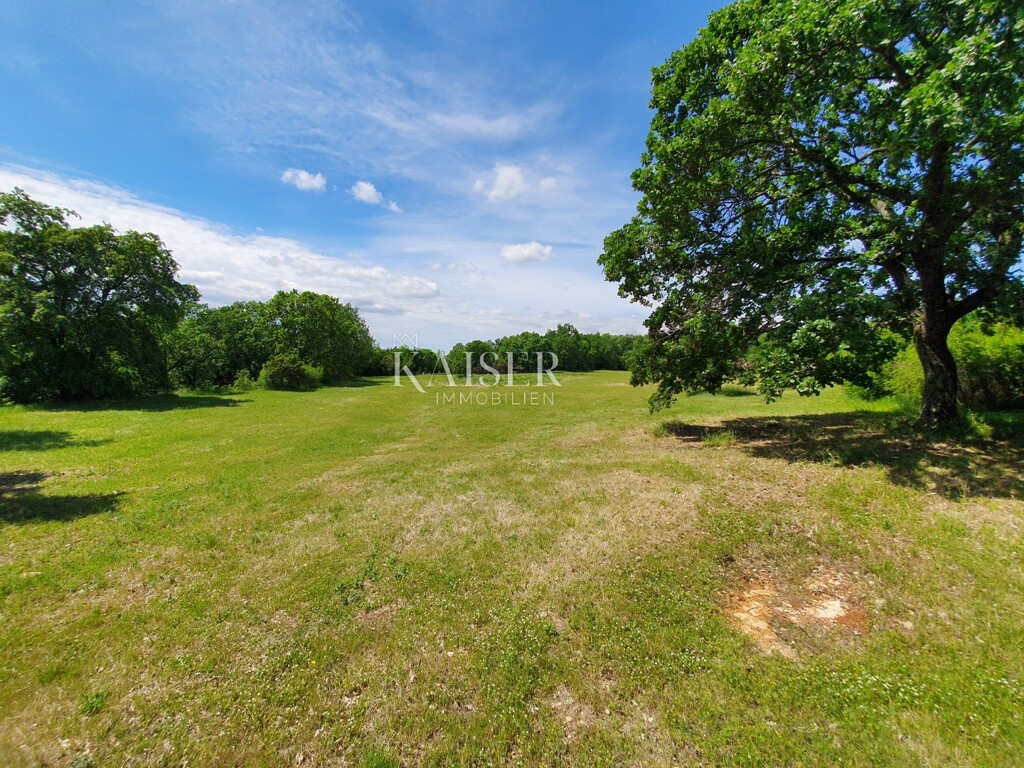 Image 5195288 - 1