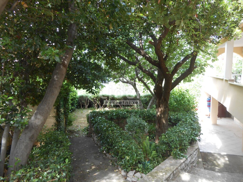 Image 5195687 - 9