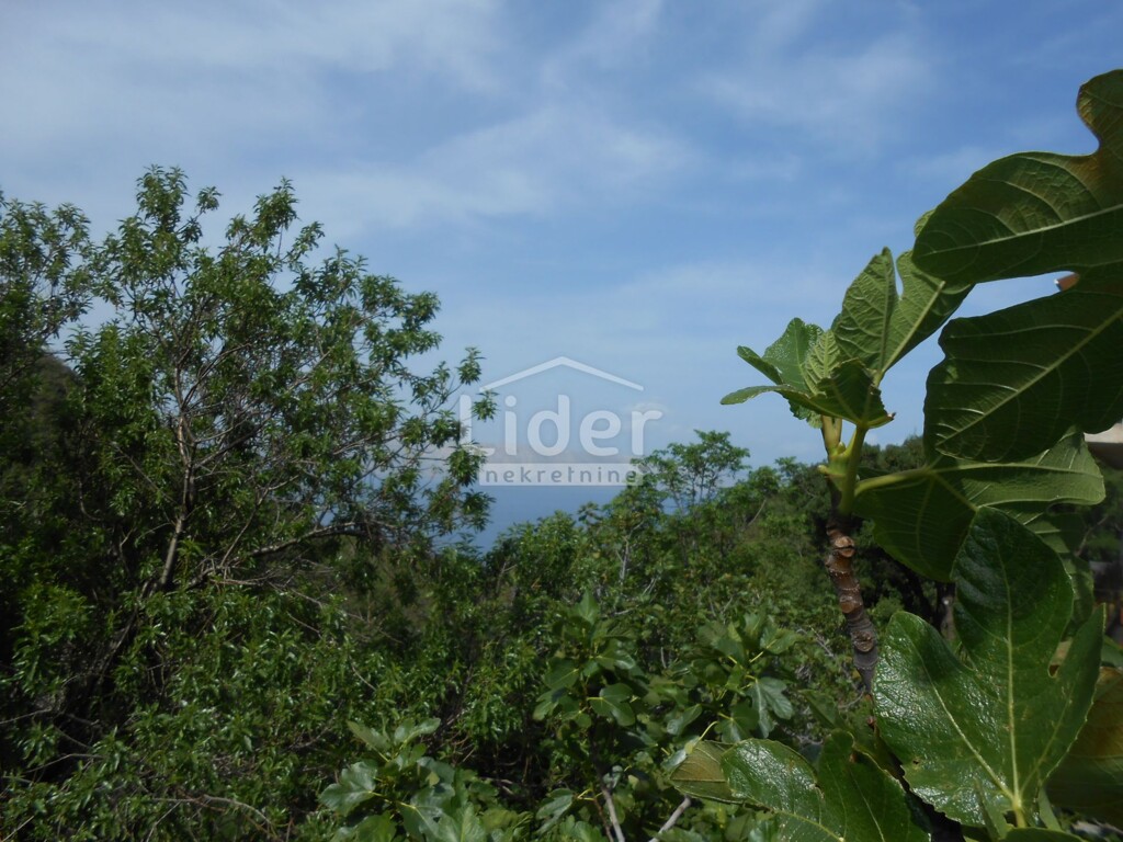 Image 5195687 - 22