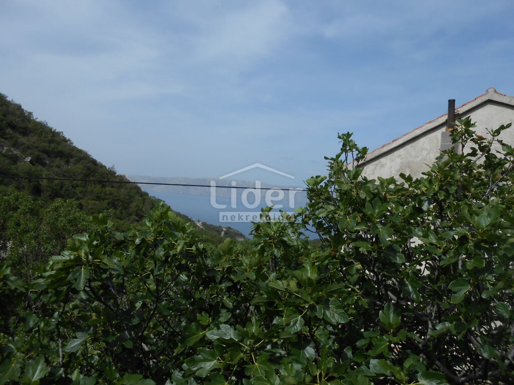 Image 5195687 - 24