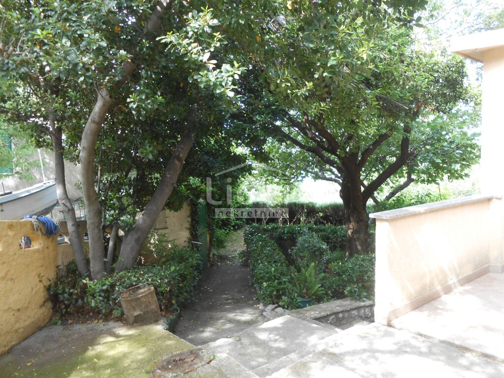 Image 5195687 - 10