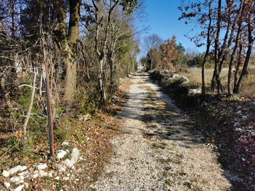 Thumbnail 5195715 - 5