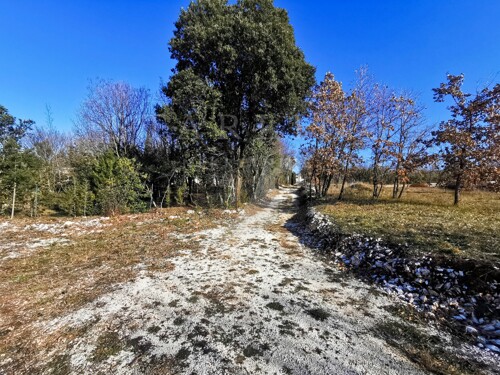 Thumbnail 5195715 - 7