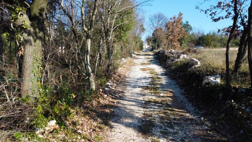 Thumbnail 5195715 - 6
