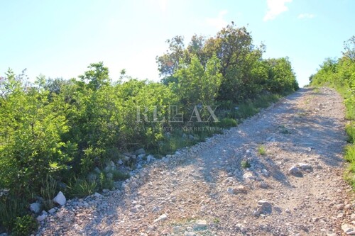 Thumbnail 5196386 - 2