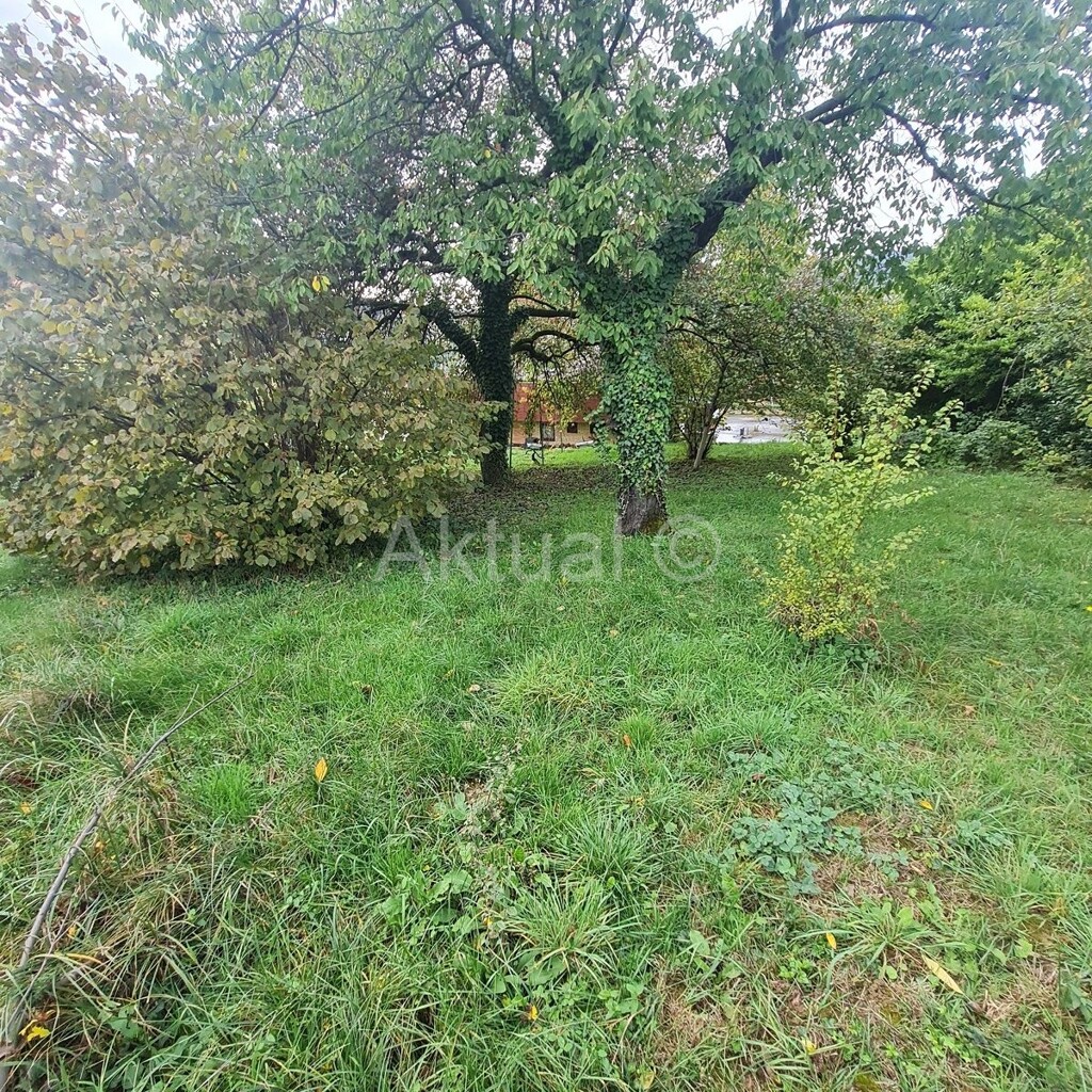 Image 5199872 - 8