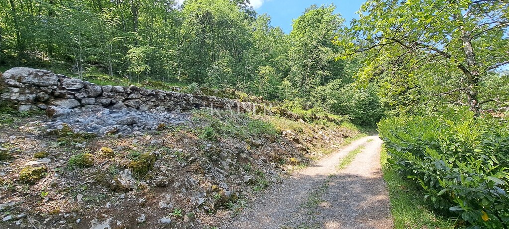 Image 5199984 - 3