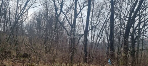 Thumbnail 5207510 - 6