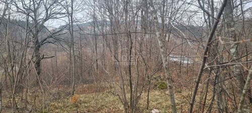 Thumbnail 5207510 - 3