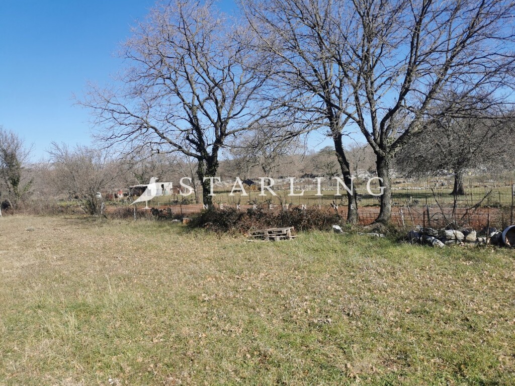 Image 5207559 - 1