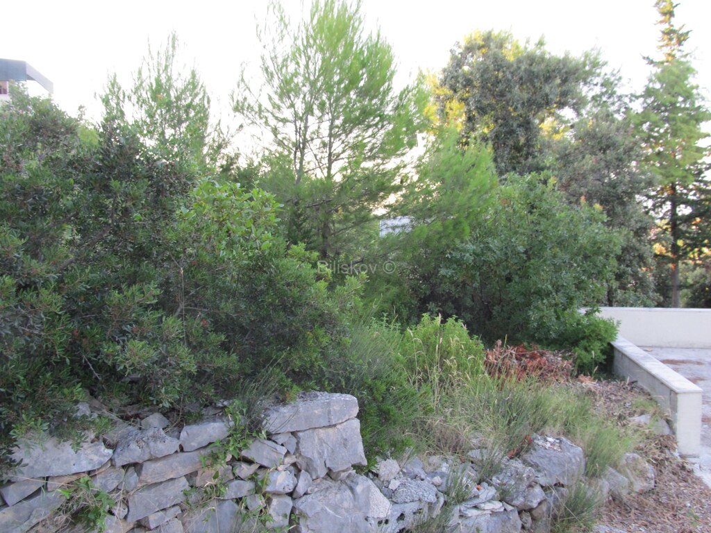 Image 5207874 - 2
