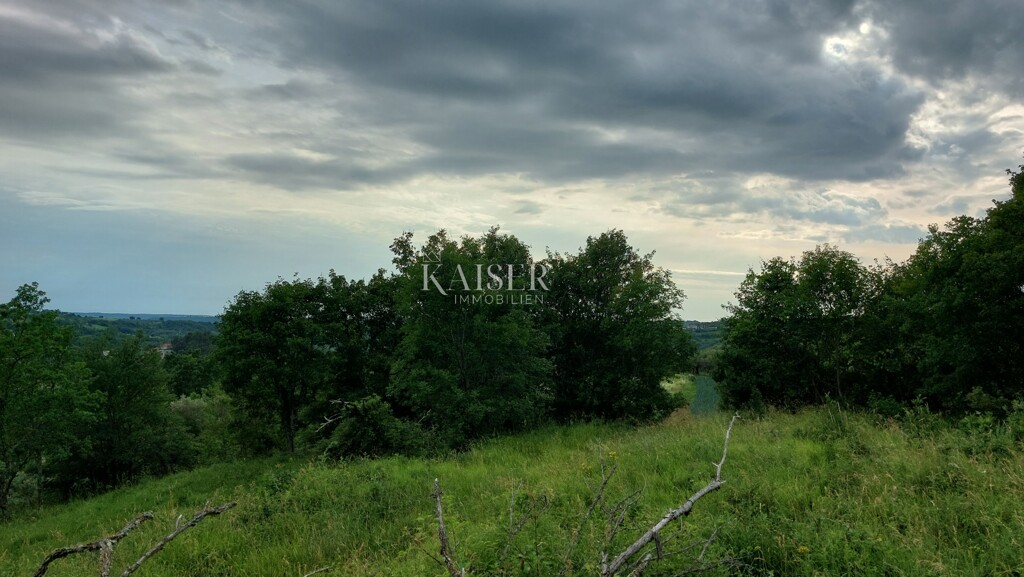 Image 5211290 - 2