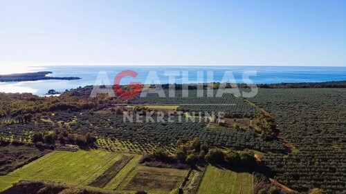 Tar-Vabriga, građevinsko zemljište 8.254 m2