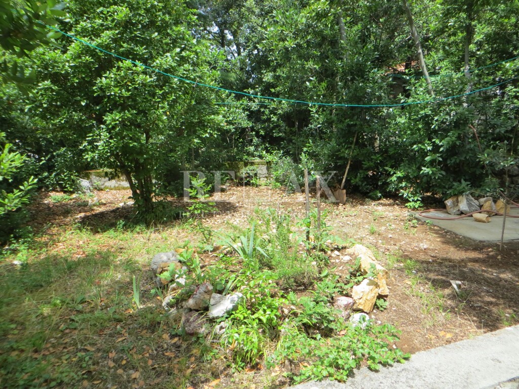 Image 5211865 - 12