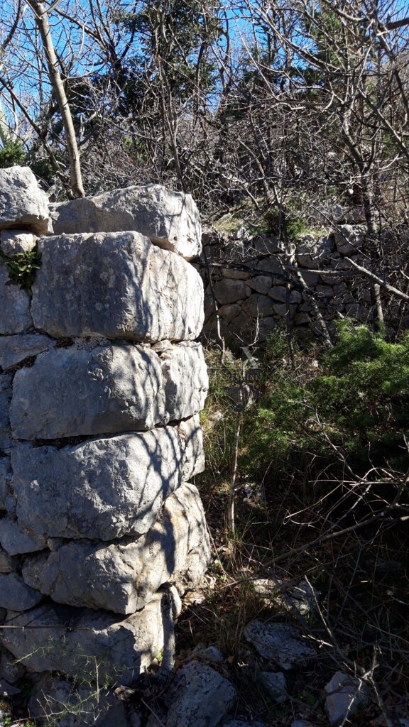 Image 5213035 - 3
