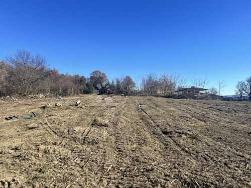 Thumbnail 5213788 - 2