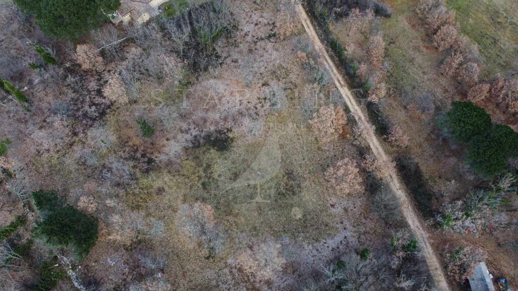 Image 5216206 - 5