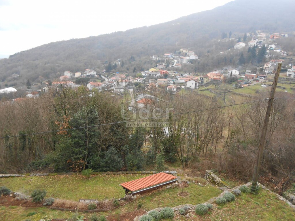 Image 5216842 - 1