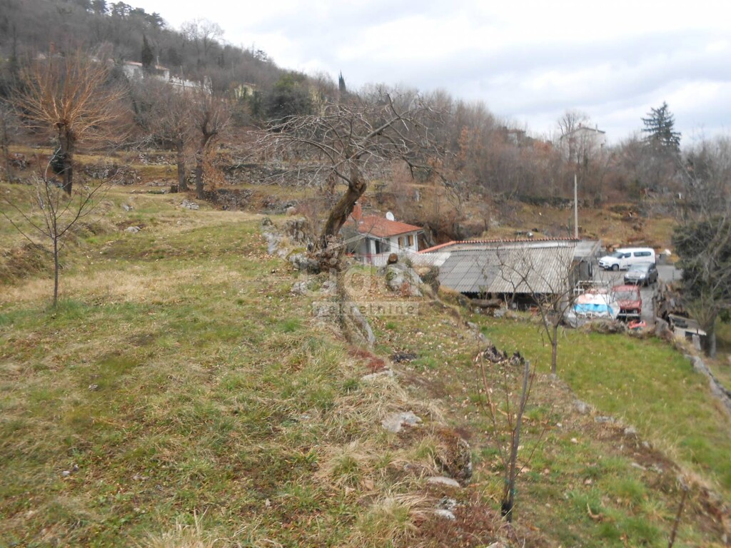 Image 5216842 - 3