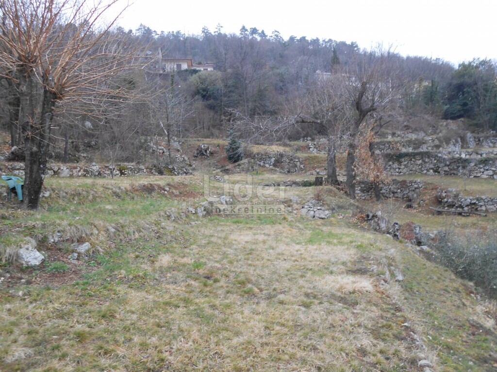 Image 5216842 - 6