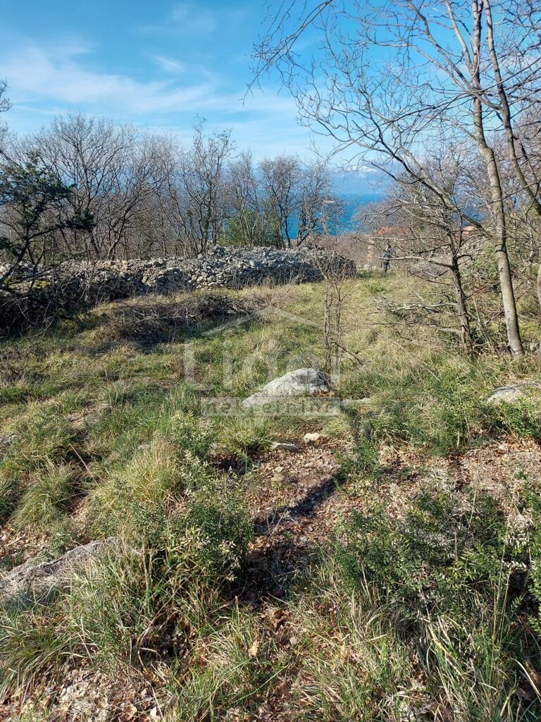 Image 5216845 - 4