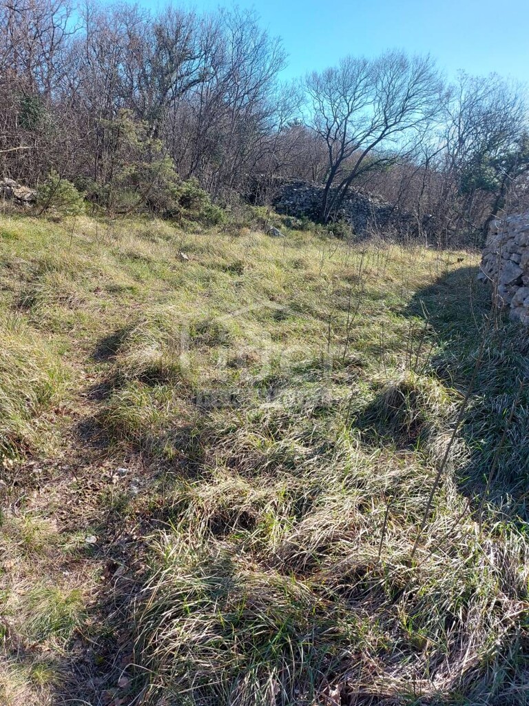 Image 5216845 - 2