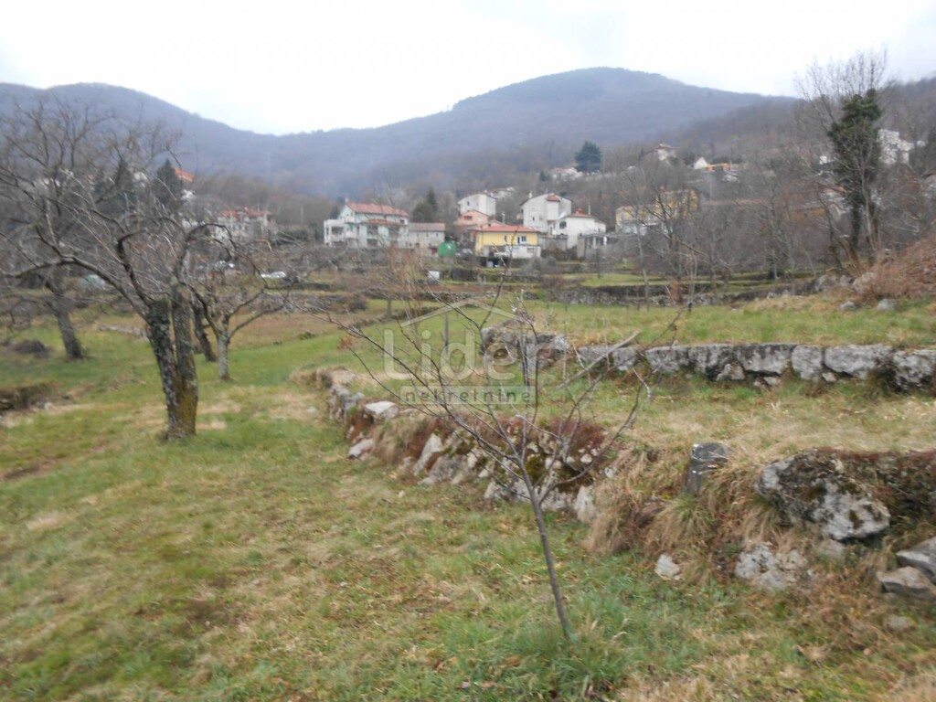 Image 5217402 - 5