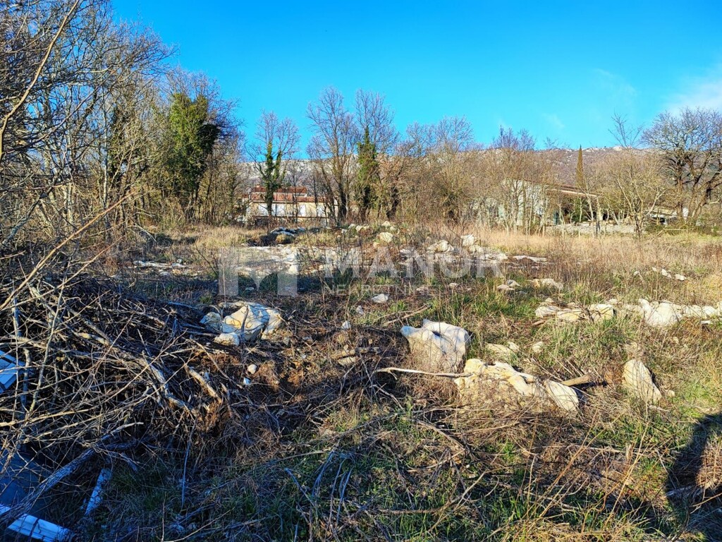 Image 5219080 - 2
