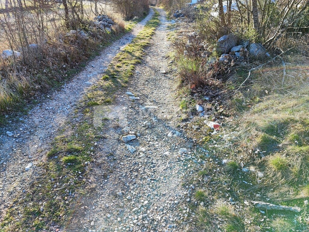 Image 5219080 - 8