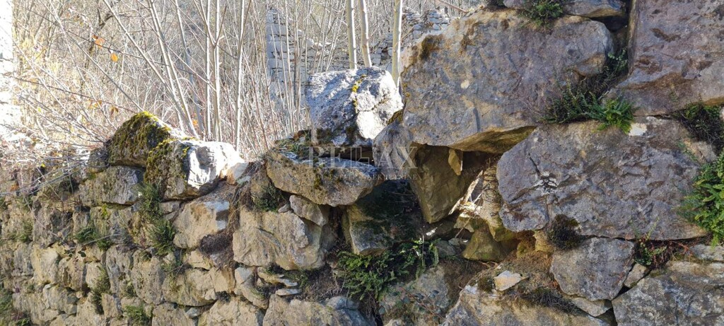 Image 5224696 - 5