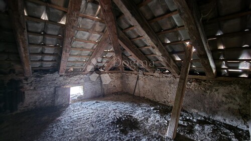 Thumbnail 5225229 - 6