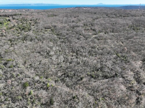 Thumbnail 5225233 - 5