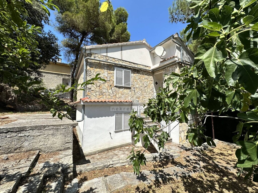 Image 5226098 - 3