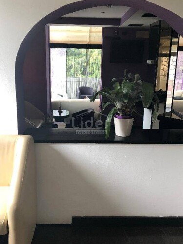 Thumbnail 5231281 - 7