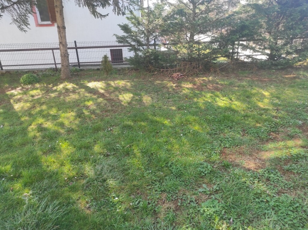 Image 5233093 - 4